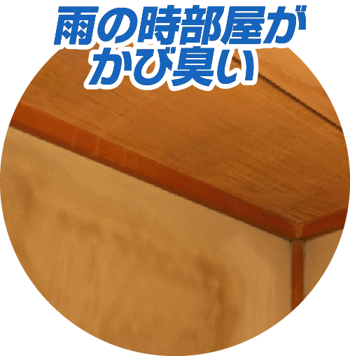 雨漏り調査・修理 - 福山市の屋根リフォーム、雨漏り修理なら【屋根