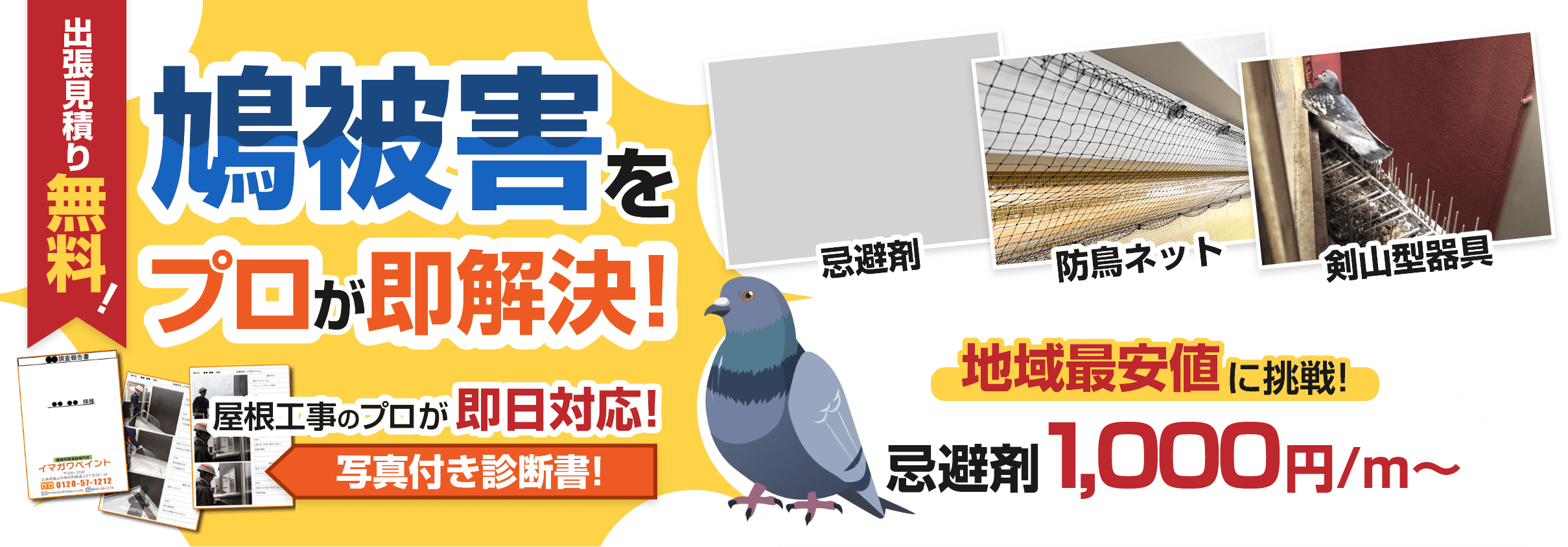 鳩被害をプロが即解決！地域最安値に挑戦！忌避剤1,000円/m～。