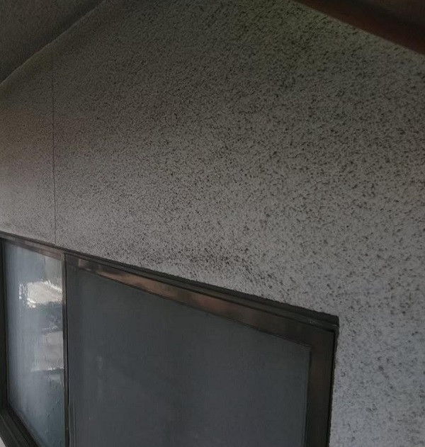 広島県福山市・D様邸　外壁塗装　外壁はどうして汚れる？対処方法は？ (8)