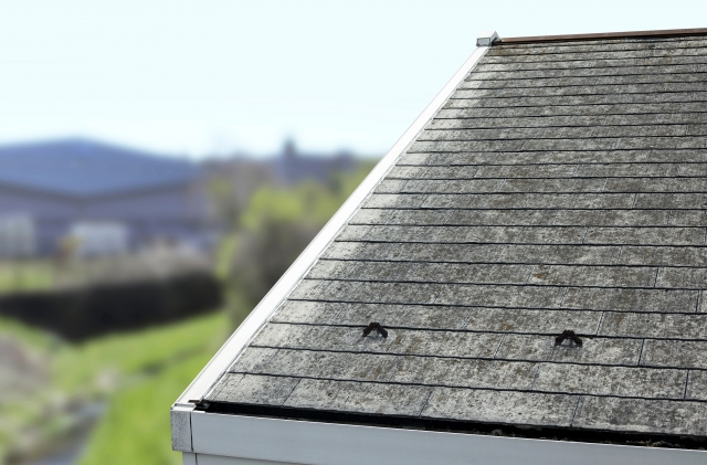 屋根塗装 耐用年数