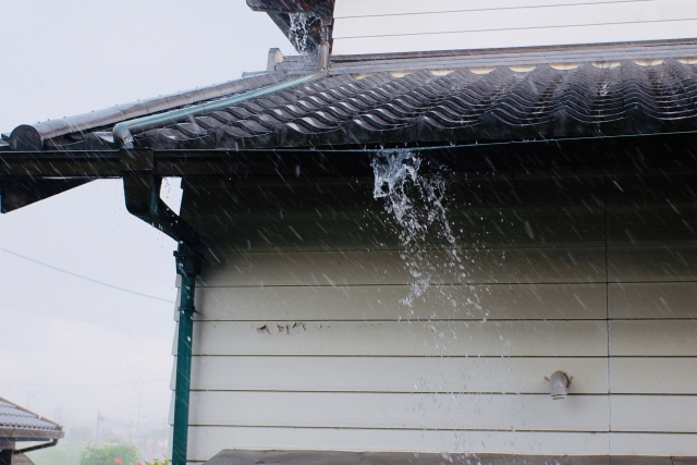 雨樋 詰まり 解消