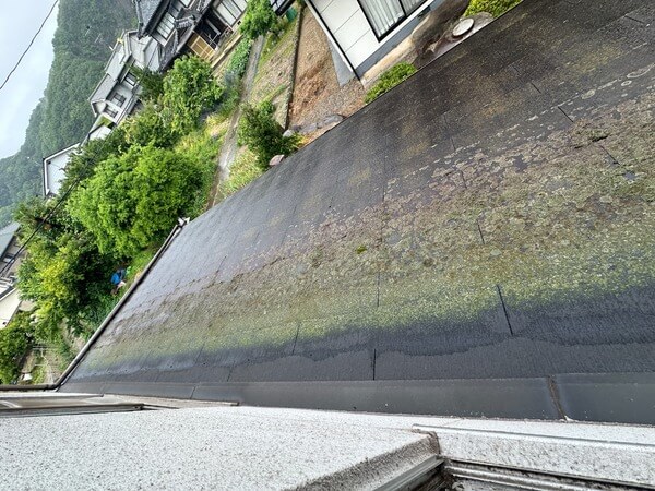 コケが生えた屋根