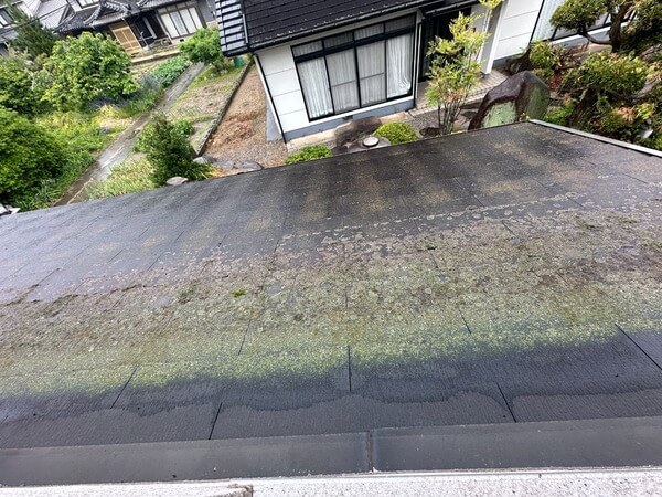 コケが生えた屋根