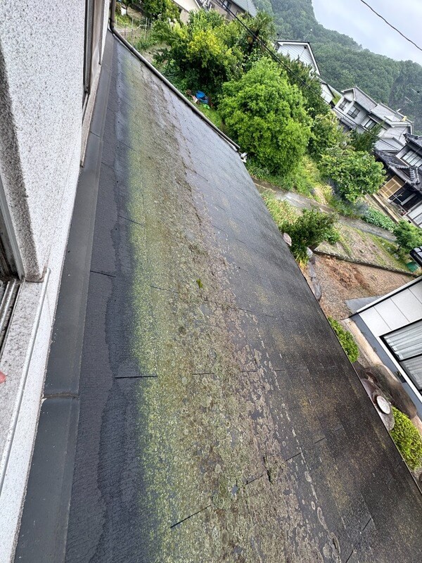 2階から見たコケが生えた屋根