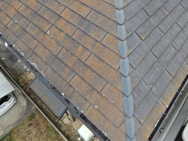 岡山県笠岡市_現地調査屋根_ズーム