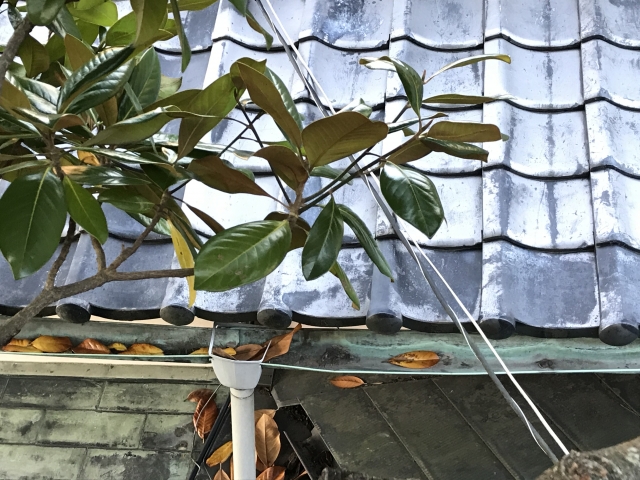 浅口市 雨樋 修理