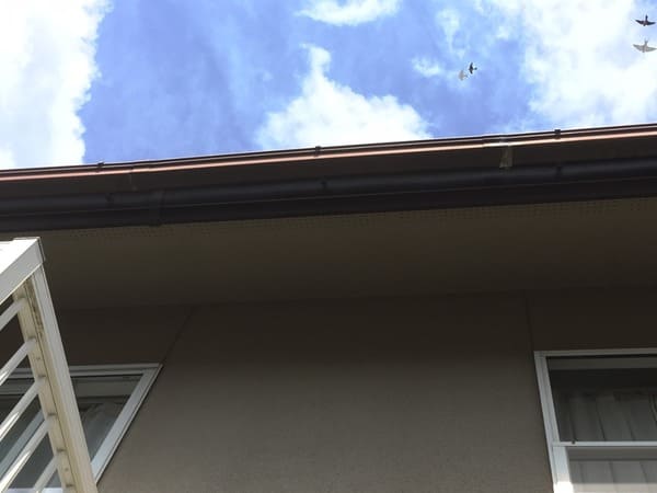 岡山県笠原市_現地調査外壁_雨樋