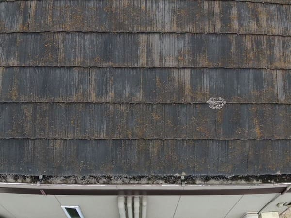 岡山県笠原市_現地調査屋根_雨樋