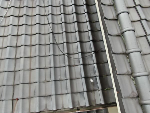 岡山県笠岡市_現地調査_屋根_瓦