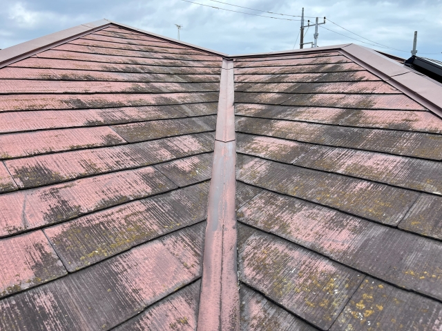 浅口市 屋根 点検