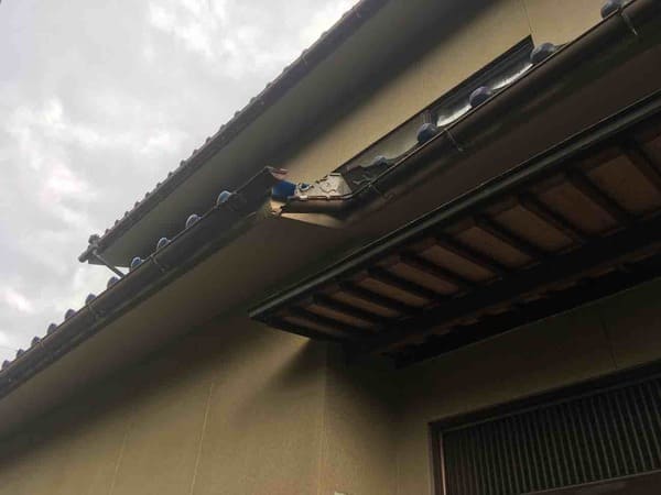 岡山県笠岡市_雨樋修理_施工前