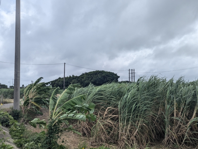 浅口市 屋根 台風対策